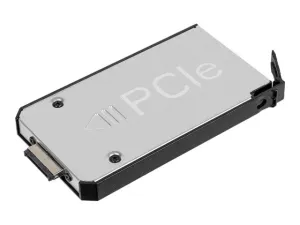 Getac - SSD - 512 GB - hot-swap - PCIe - with canister GSSFX8